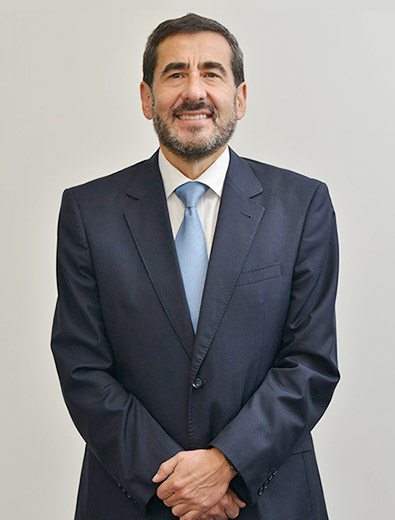 Ing. Julio Vargas León