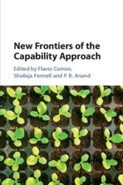 Demystifying the Use of Simultaneous Equation Models for the Operationalisation of the Capability Approach. 