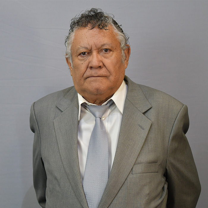 LAZARTE VILLARROEL  LUIS